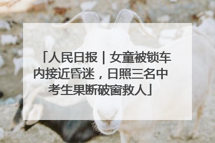 人民日报｜女童被锁车内接近昏迷，日照三名中考生果断破窗救人