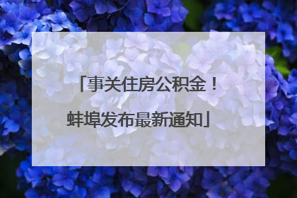 事关住房公积金！蚌埠发布最新通知