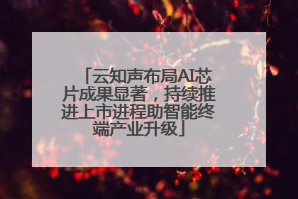 云知声布局AI芯片成果显著，持续推进上市进程助智能终端产业升级