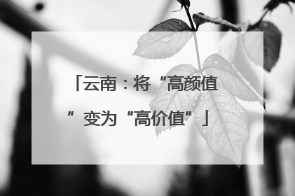 云南：将“高颜值”变为“高价值”