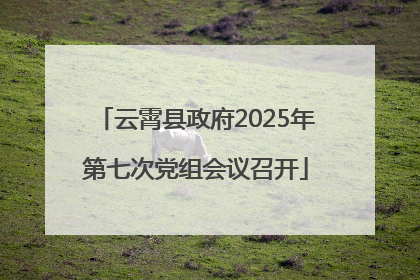 云霄县政府2025年第七次党组会议召开