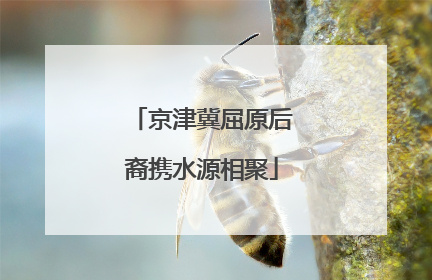京津冀屈原后裔携水源相聚