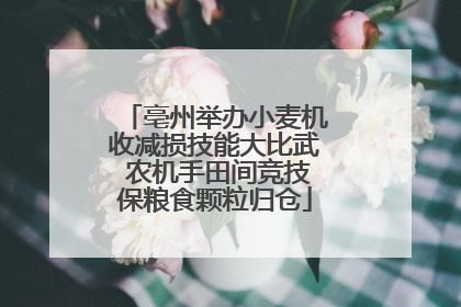 亳州举办小麦机收减损技能大比武 农机手田间竞技保粮食颗粒归仓