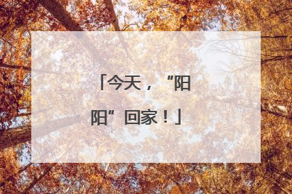 今天，“阳阳”回家！