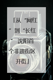 从“网红”到“长红” 沈阳首个非遗街区开街