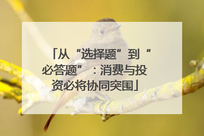 从“选择题”到“必答题”：消费与投资必将协同突围