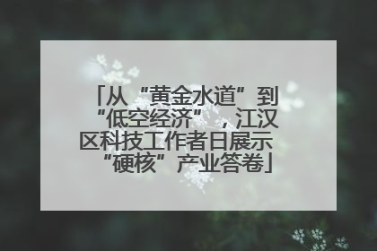 从“黄金水道”到“低空经济”，江汉区科技工作者日展示“硬核”产业答卷