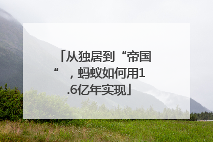 从独居到“帝国”，蚂蚁如何用1.6亿年实现