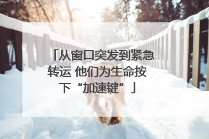 从窗口突发到紧急转运 他们为生命按下“加速键”