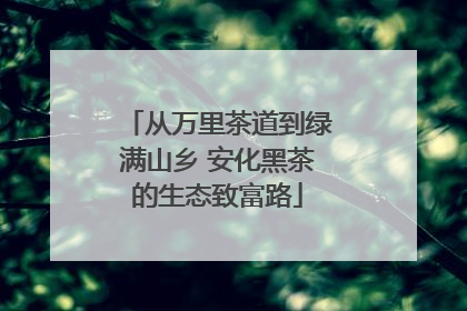 从万里茶道到绿满山乡 安化黑茶的生态致富路