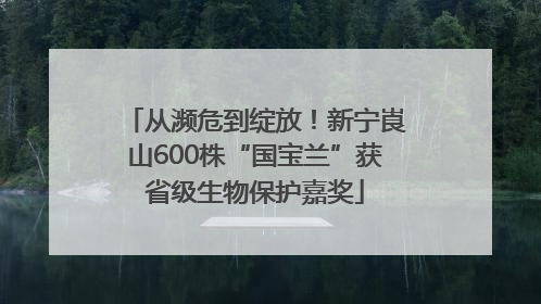 从濒危到绽放！新宁崀山600株“国宝兰”获省级生物保护嘉奖