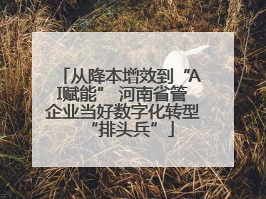 从降本增效到“AI赋能” 河南省管企业当好数字化转型“排头兵”