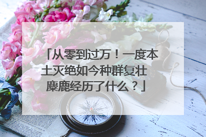 从零到过万！一度本土灭绝如今种群复壮 麋鹿经历了什么？