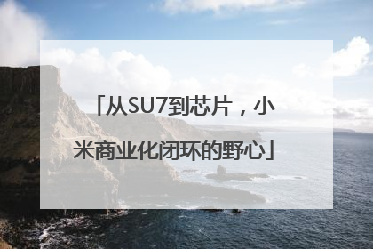 从SU7到芯片，小米商业化闭环的野心