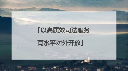 以高质效司法服务高水平对外开放