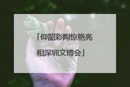 仰韶彩陶惊艳亮相深圳文博会
