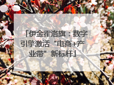 伊金霍洛旗：数字引擎激活“电商+产业带”新标杆