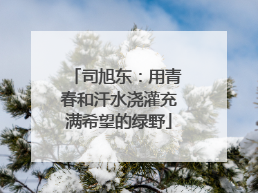 司旭东：用青春和汗水浇灌充满希望的绿野