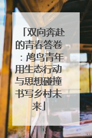 双向奔赴的青春答卷：鸬鸟青年用生态行动与思想碰撞书写乡村未来