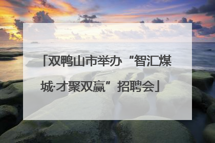 双鸭山市举办“智汇煤城·才聚双赢”招聘会