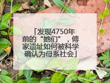 发现4750年前的“她们”，傅家遗址如何被科学确认为母系社会