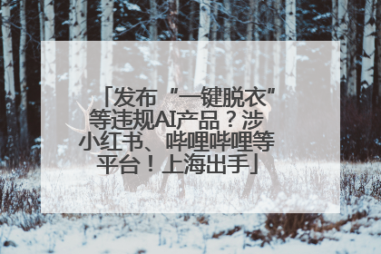 发布“一键脱衣”等违规AI产品？涉小红书、哔哩哔哩等平台！上海出手