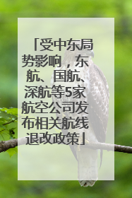 受中东局势影响，东航、国航、深航等5家航空公司发布相关航线退改政策