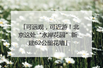 可远观，可近游！北京这处“水岸花园”新建62公里花墙