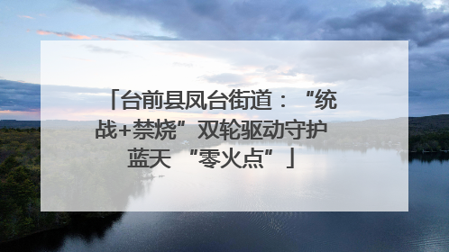 台前县凤台街道：“统战+禁烧”双轮驱动守护蓝天 “零火点”