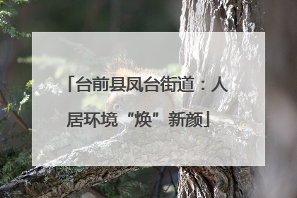 台前县凤台街道：人居环境“焕”新颜