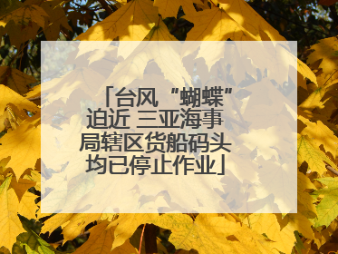 台风“蝴蝶”迫近 三亚海事局辖区货船码头均已停止作业