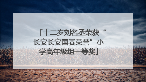 十二岁刘名丞荣获“长安长安国赛荣誉”小学高年级组一等奖