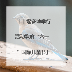 十堰多地举行活动欢度“六一”国际儿童节