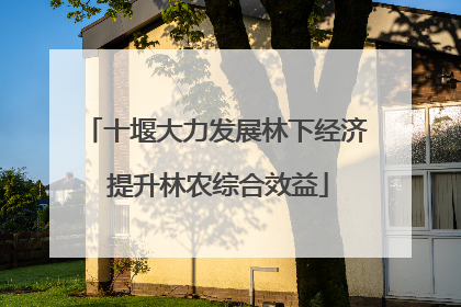 十堰大力发展林下经济 提升林农综合效益