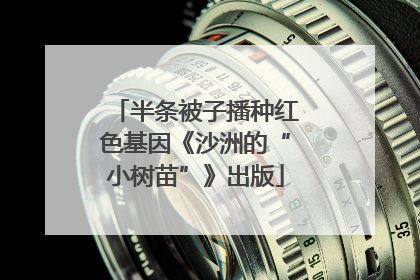 半条被子播种红色基因《沙洲的“小树苗”》出版