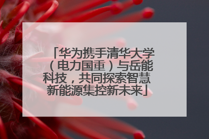 华为携手清华大学（电力国重）与岳能科技，共同探索智慧新能源集控新未来