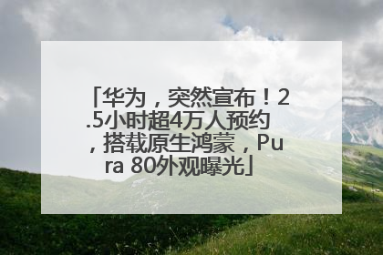 华为，突然宣布！2.5小时超4万人预约，搭载原生鸿蒙，Pura 80外观曝光