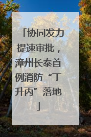 协同发力提速审批，漳州长泰首例消防“丁升丙”落地