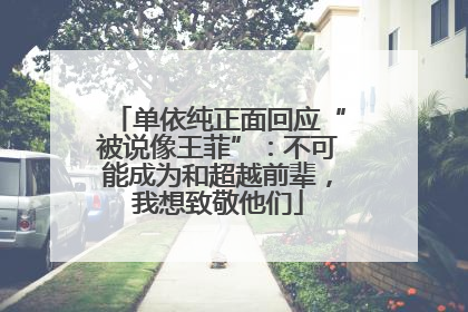 单依纯正面回应“被说像王菲”：不可能成为和超越前辈，我想致敬他们