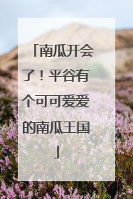 南瓜开会了！平谷有个可可爱爱的南瓜王国