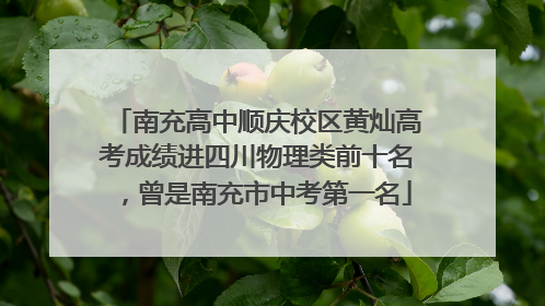 南充高中顺庆校区黄灿高考成绩进四川物理类前十名，曾是南充市中考第一名