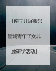 南宁开展新兴领域青年子女非遗研学活动
