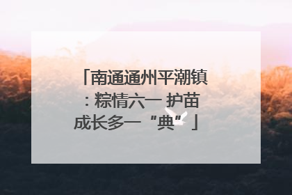 南通通州平潮镇：粽情六一 护苗成长多一“典”
