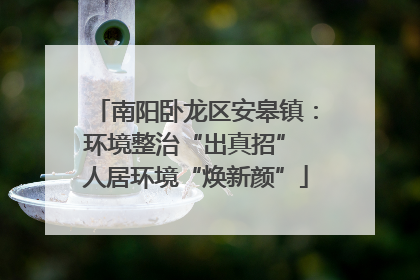 南阳卧龙区安皋镇：环境整治“出真招” 人居环境“焕新颜”