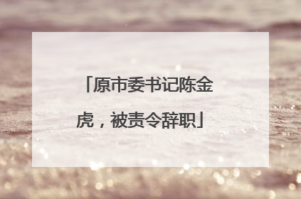 原市委书记陈金虎，被责令辞职