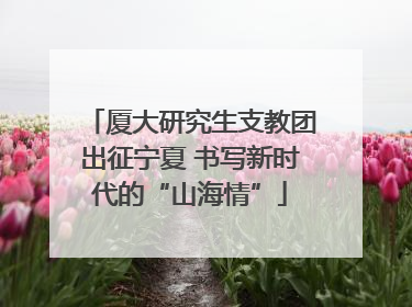 厦大研究生支教团出征宁夏 书写新时代的“山海情”