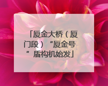 厦金大桥（厦门段）“厦金号”盾构机始发
