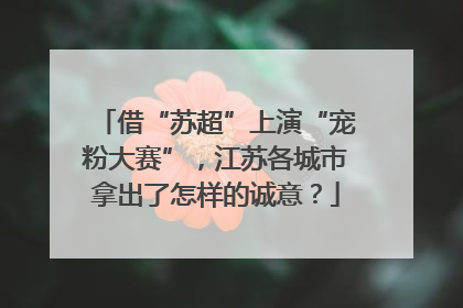 借“苏超”上演“宠粉大赛”，江苏各城市拿出了怎样的诚意？