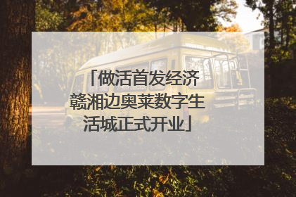 做活首发经济 赣湘边奥莱数字生活城正式开业