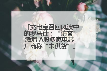 充电宝召回风波中的罗马仕：“访客”激增 A股多家电芯厂商称“未供货”